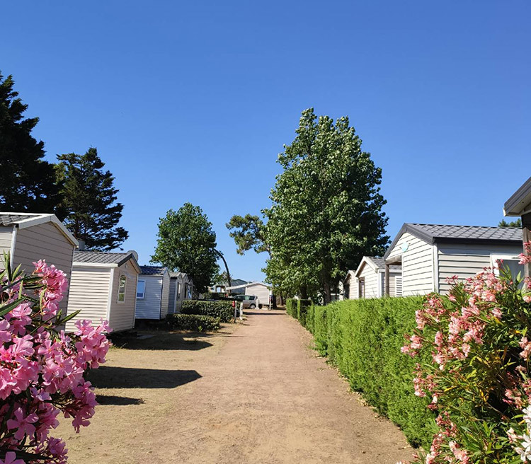 allee camping les violettes