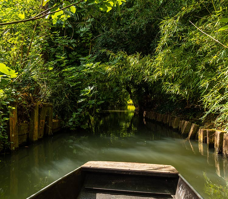 marais poitevin