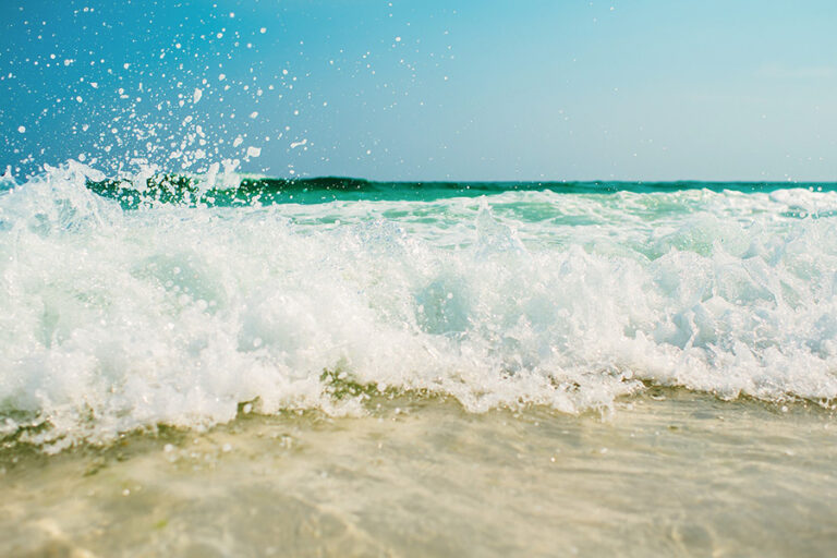 plage la faute sur mer