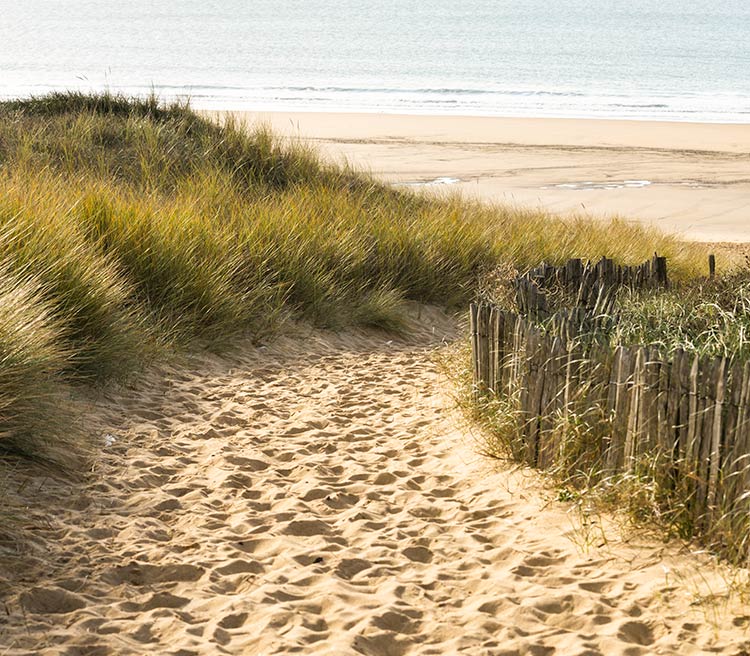 plage tranche sur mer